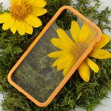 Load image into Gallery viewer, Clear Eco-Friendly iPhone 11 Pro Case with Cantaloupe Ridge