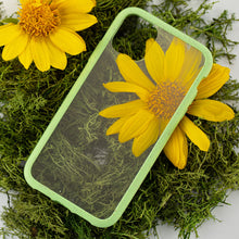 Load image into Gallery viewer, Clear Eco-Friendly iPhone 11 Pro Case with Neo Mint Ridge